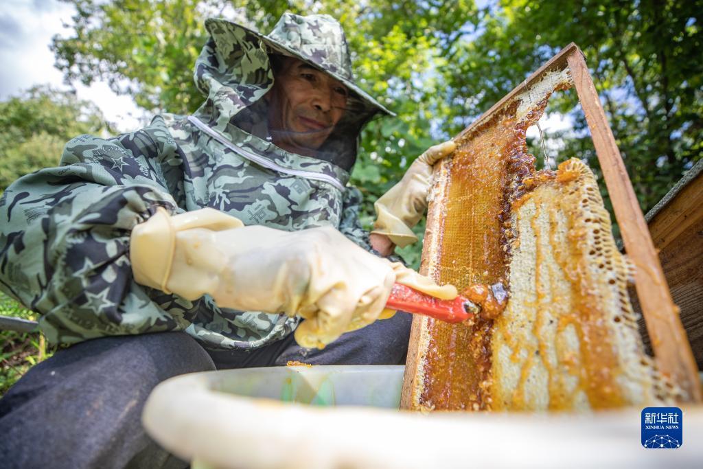 威尼斯人线路